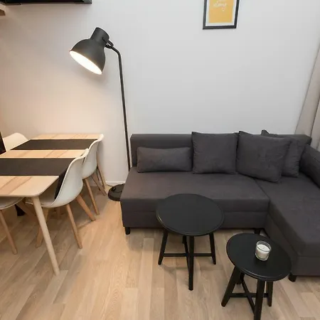 Silver Studio In The Old Town Apartament Kraków